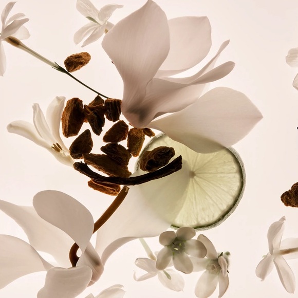 Phlur Missing Person 2mL Decant Sample with Spray - Picture 3 of 7